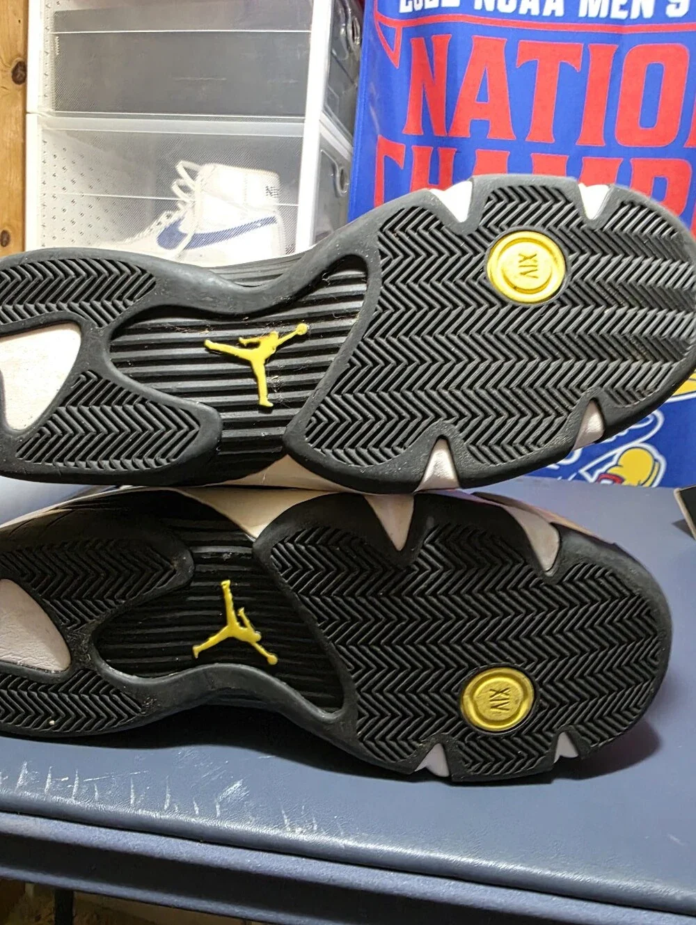 Air Jordan 14 